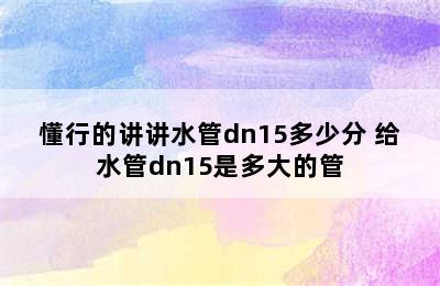 懂行的讲讲水管dn15多少分 给水管dn15是多大的管